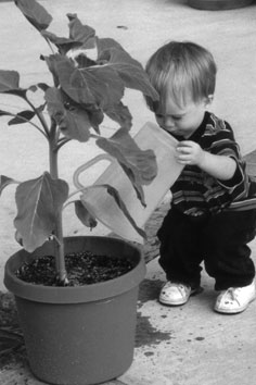 Austin watering his plant