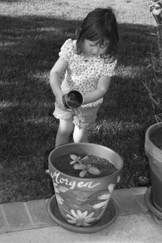 Morgen watering, 04-15-08