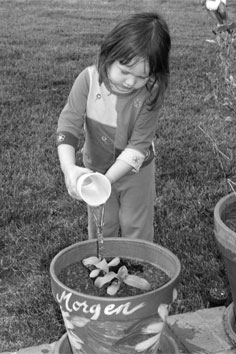 Morgen watering, 04-17-08