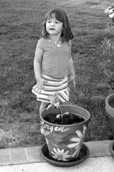 Morgen watering, 04-26-08