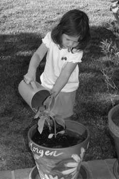 Morgen watering, 05-05-08