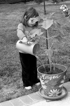 Morgen watering, 05-23-08