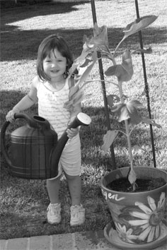 Morgen watering, 05-29-08